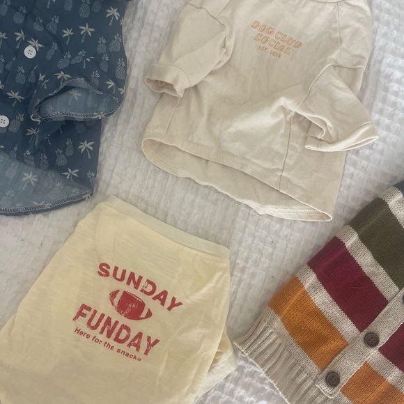 shop dog threads Other - Shop Dog Threads + Dog Clothes Bundle